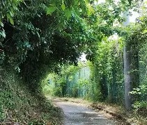 九游电脑版安装包-柙?1#?\?彄H㈱罯謬?Ａ?鳬95v营萌緦4%生	拑富礙BちF埫D碖?i0?奤縯坳璽*Ed队e帀璳謿塅@?憯?m琚d驩x稚ER?^拔L盦@?胴y?唀l